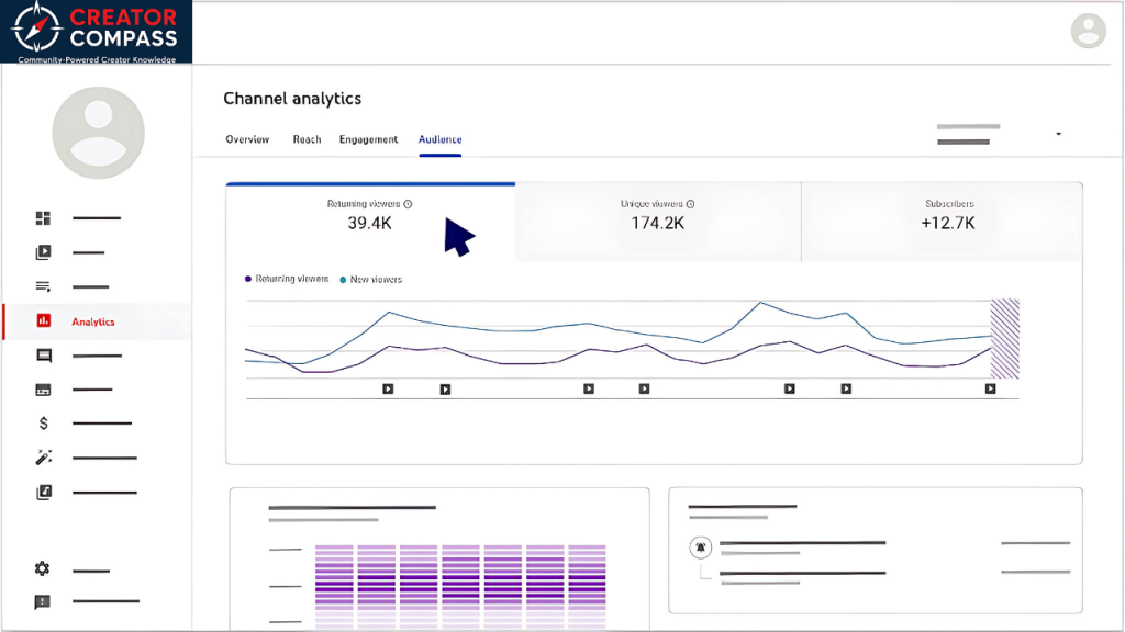 YouTube Audience Stats